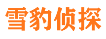 武汉外遇出轨调查取证